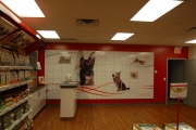 store